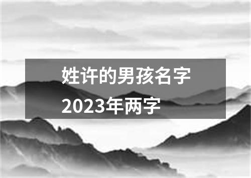 姓许的男孩名字2023年两字