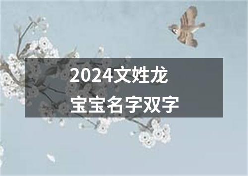 2024文姓龙宝宝名字双字