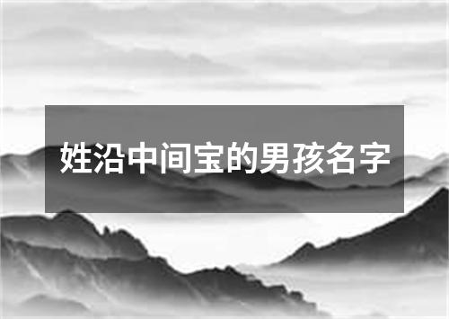 姓沿中间宝的男孩名字