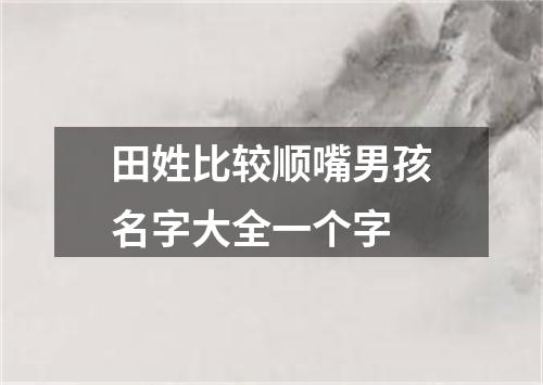 田姓比较顺嘴男孩名字大全一个字