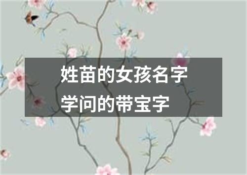 姓苗的女孩名字学问的带宝字