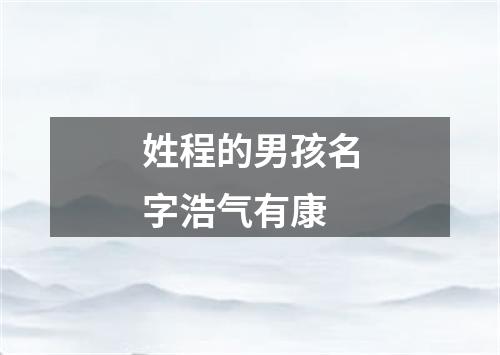 姓程的男孩名字浩气有康