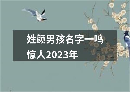 姓颜男孩名字一鸣惊人2023年