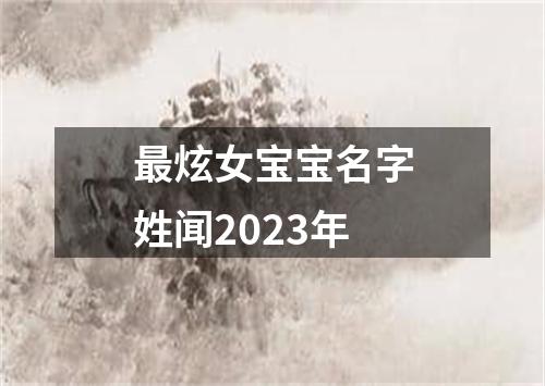 最炫女宝宝名字姓闻2023年