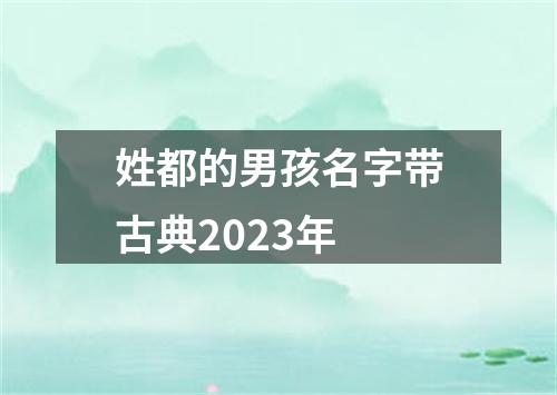 姓都的男孩名字带古典2023年