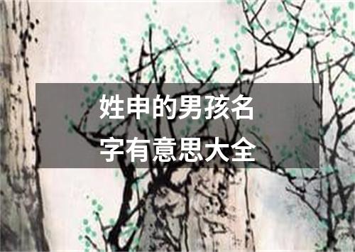 姓申的男孩名字有意思大全