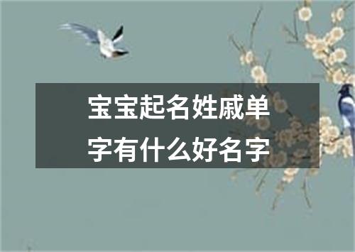 宝宝起名姓戚单字有什么好名字