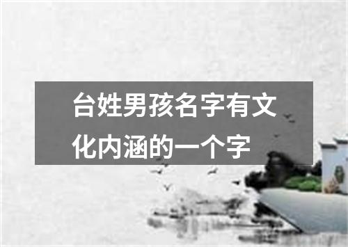 台姓男孩名字有文化内涵的一个字