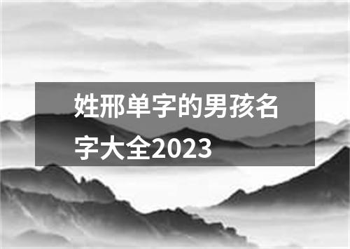 姓邢单字的男孩名字大全2023