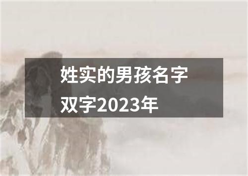 姓实的男孩名字双字2023年