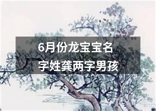 6月份龙宝宝名字姓龚两字男孩