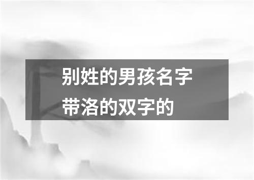 别姓的男孩名字带洛的双字的