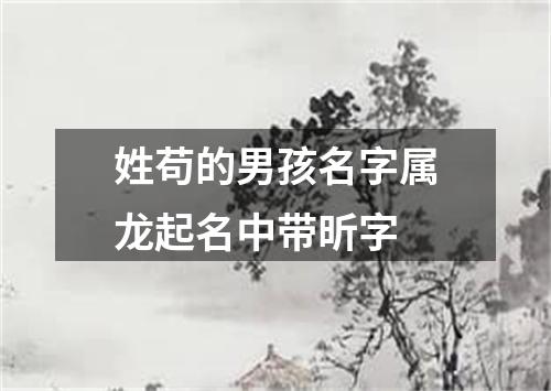 姓苟的男孩名字属龙起名中带昕字