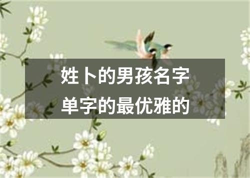 姓卜的男孩名字单字的最优雅的