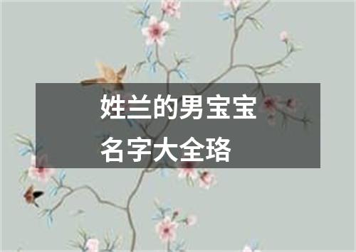 姓兰的男宝宝名字大全珞