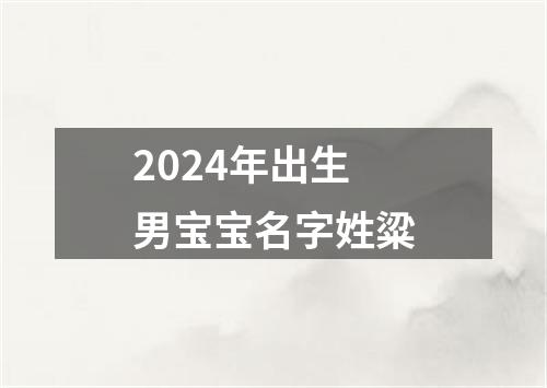 2024年出生男宝宝名字姓粱