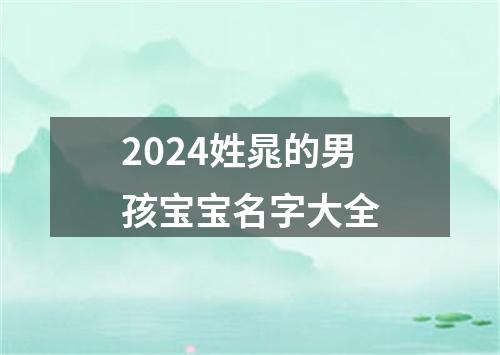 2024姓晁的男孩宝宝名字大全