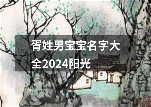 胥姓男宝宝名字大全2024阳光