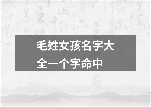 毛姓女孩名字大全一个字命中