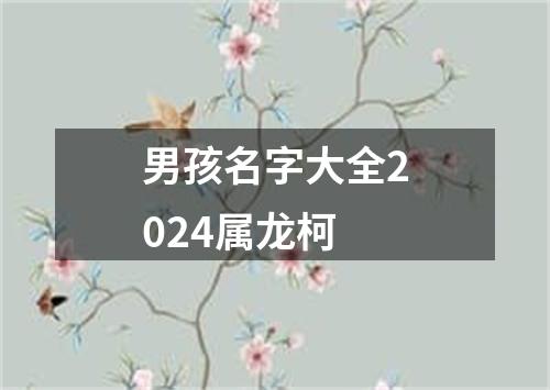 男孩名字大全2024属龙柯