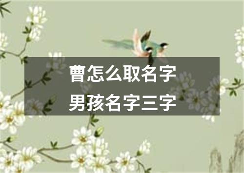 曹怎么取名字男孩名字三字