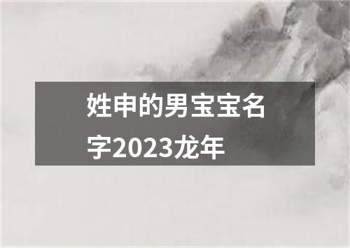 姓申的男宝宝名字2023龙年