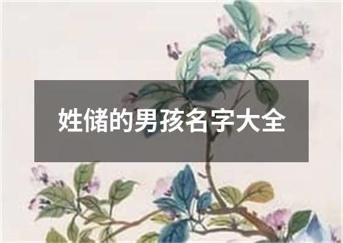 姓储的男孩名字大全