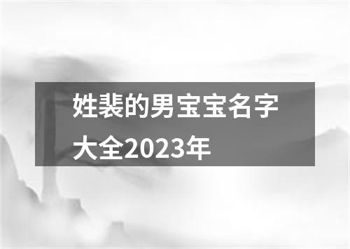 姓裴的男宝宝名字大全2023年