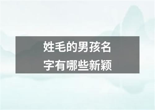 姓毛的男孩名字有哪些新颖