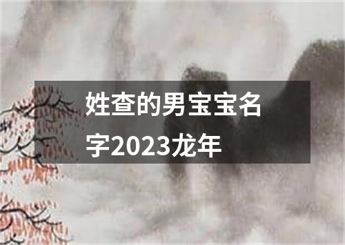 姓查的男宝宝名字2023龙年