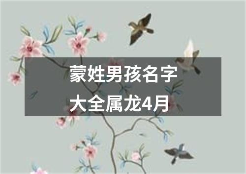 蒙姓男孩名字大全属龙4月