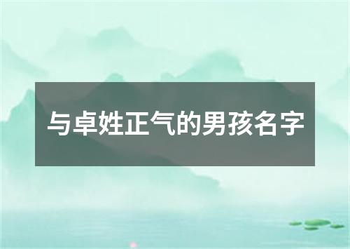 与卓姓正气的男孩名字