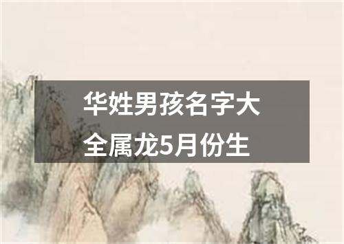 华姓男孩名字大全属龙5月份生