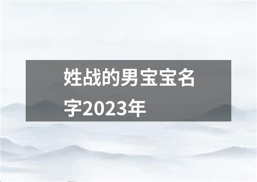 姓战的男宝宝名字2023年