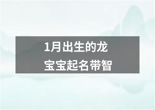 1月出生的龙宝宝起名带智