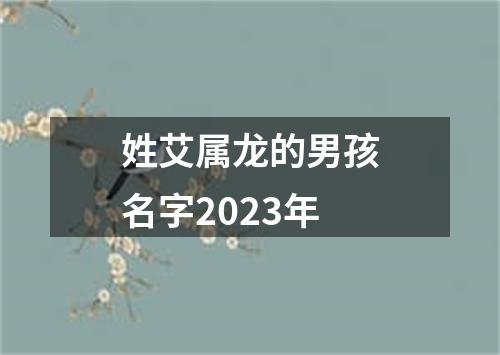 姓艾属龙的男孩名字2023年