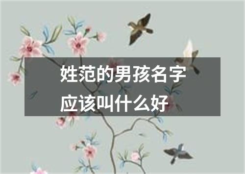 姓范的男孩名字应该叫什么好