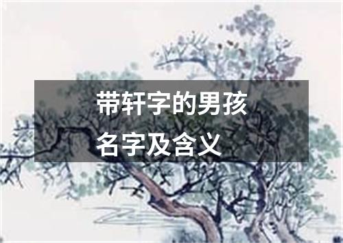 带轩字的男孩名字及含义