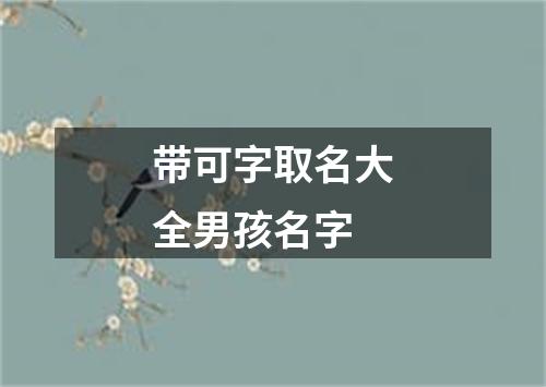 带可字取名大全男孩名字