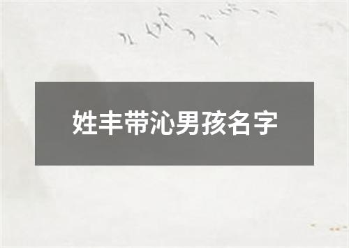 姓丰带沁男孩名字