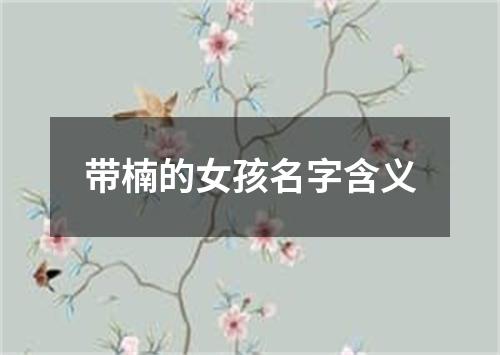 带楠的女孩名字含义