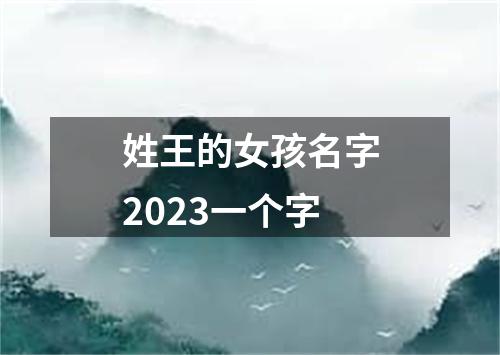 姓王的女孩名字2023一个字