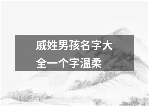 戚姓男孩名字大全一个字温柔