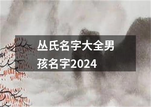 丛氏名字大全男孩名字2024