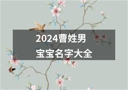 2024曹姓男宝宝名字大全