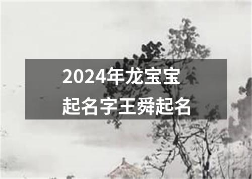 2024年龙宝宝起名字王舜起名