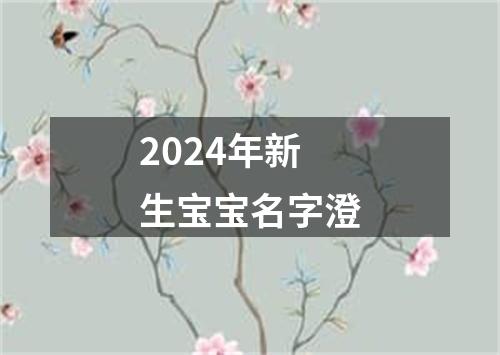 2024年新生宝宝名字澄