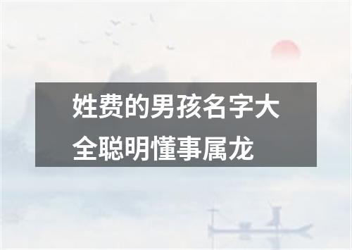 姓费的男孩名字大全聪明懂事属龙