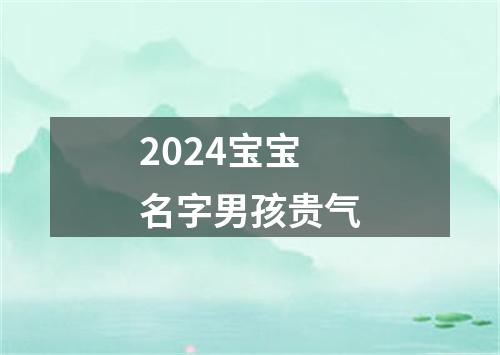 2024宝宝名字男孩贵气