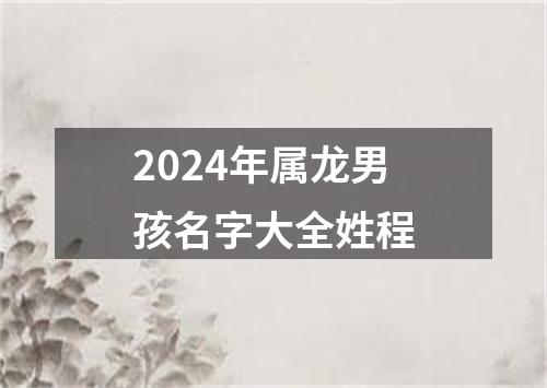 2024年属龙男孩名字大全姓程